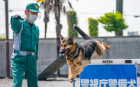 【働く犬たち】警備犬編…犯人制圧や災害救助など幅広い任務をこなす［インタビュー］ 画像