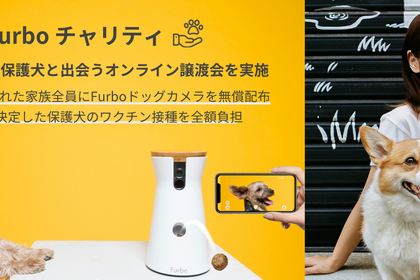 ドッグカメラ「Furbo」、保護犬チャリティを実施…4月28日にインスタライブ譲渡会 画像