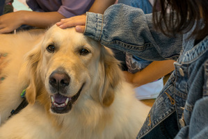 犬との触れ合いから学ぶ思いやりの気持ち…「こども笑顔のラインプロジェクト」 画像
