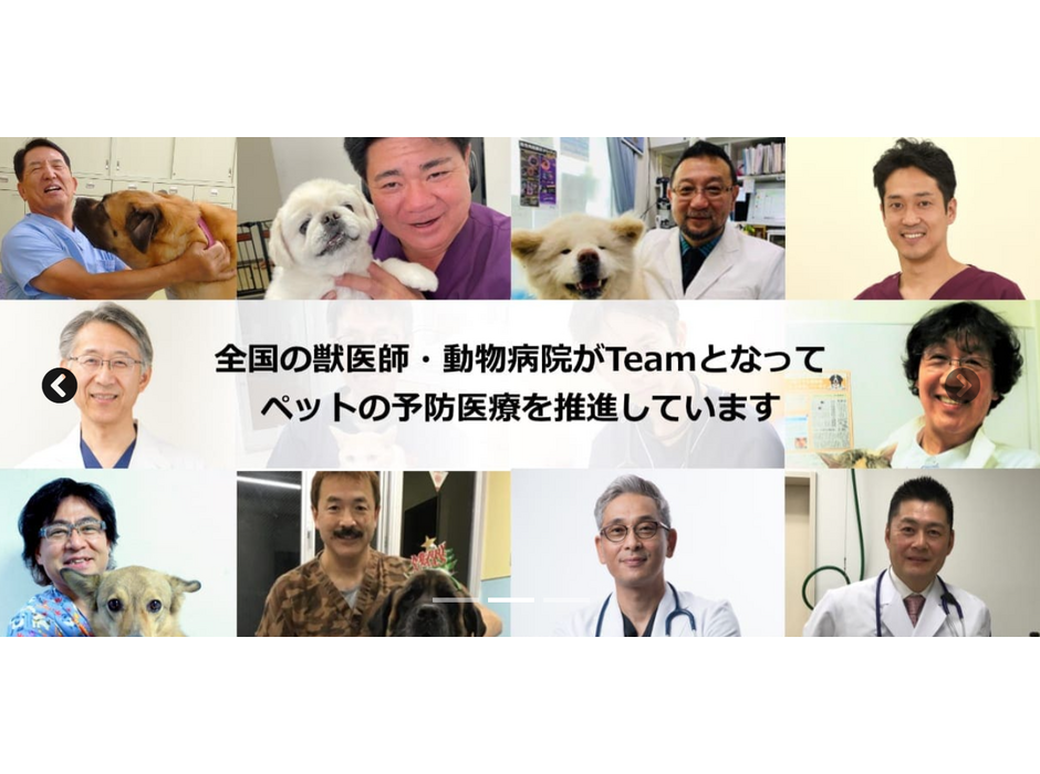 獣医師団体Team HOPE公式サイトがリニューアルオープン