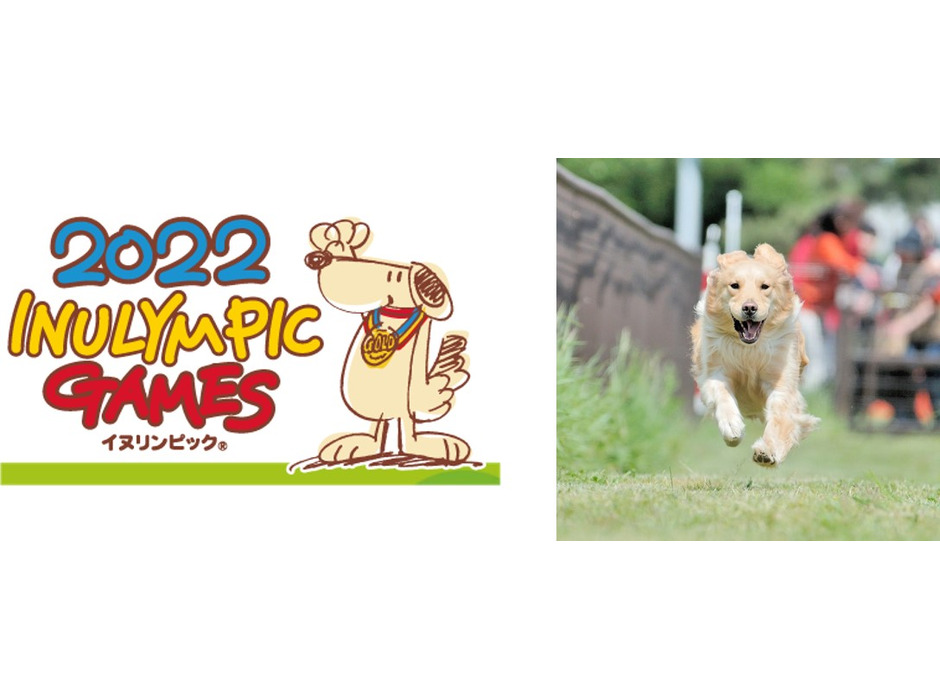 犬の運動会「イヌリンピック MINI」を同時開催