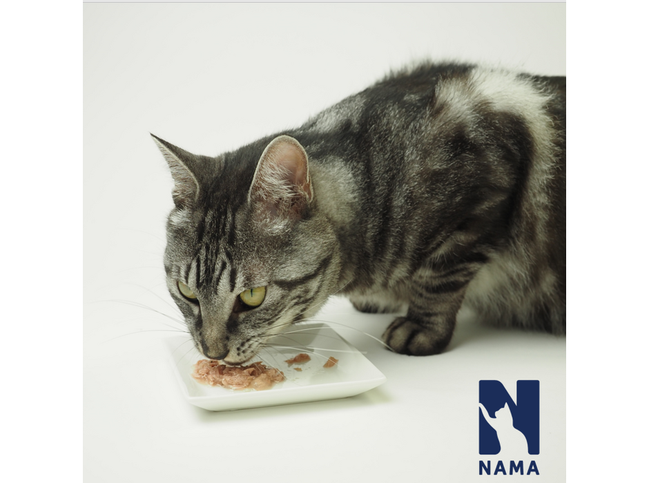25Holdings、キャットフード「NAMA 猫缶」を発売