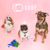 “犬と人のライフスタイルブランド”「CORY.」ローンチ