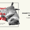 Curensology（カレンソロジー）、保護猫チャリティTシャツ「Chai Tee」とトートバッグを発売