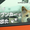 柴犬・小春、トヨタの「コペン GR SPORT」に乗っておでかけ！「小春がオープンカーで旅にでた」