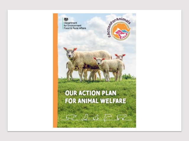 「Action Plan for Animal Welfare」冊子は20ページにわたる