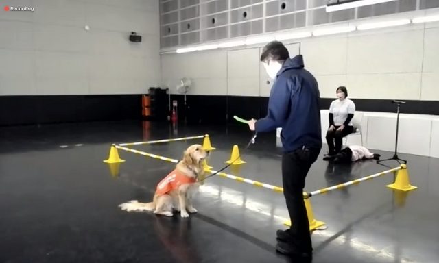 盲導犬のデモンストレーション（全国一斉盲導犬教室）