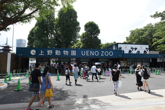 上野 動物園 予約