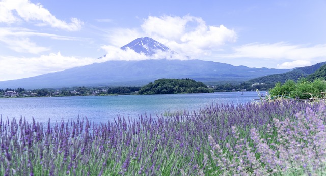 河口湖畔の大石公園からは富士山がバッチリ