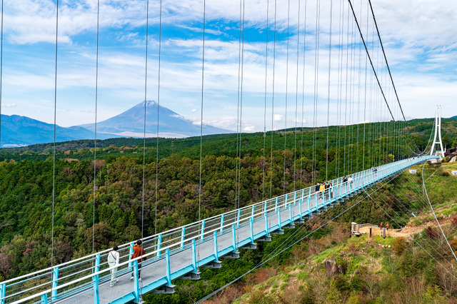 日本一の長さを誇る歩行者専用吊橋