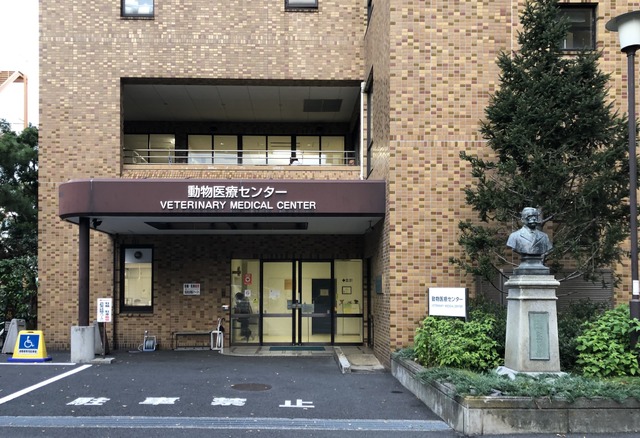 東京大学 動物医療センター