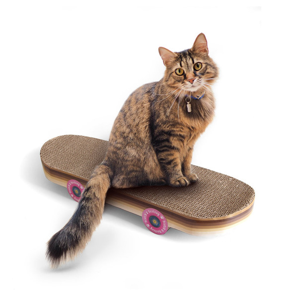 アールオーエヌ、スケボー型の猫用爪とぎを発売 | 動物のリアルを