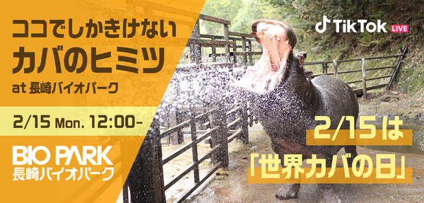 長崎バイオパーク ココでしかきけないカバのヒミツ をtiktok Liveで生配信 2月15日 動物のリアルを伝えるwebメディア Reanimal