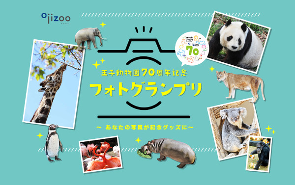神戸新聞社、「王子動物園70周年記念フォトグランプリ」を開催…募集 