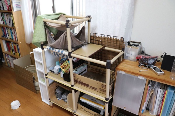 100円ショップグッズで3ウェイラック…キャットタワー＆用品棚＆寝床
