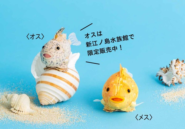 ぷ*ぴ様 脱皮ぬいぐるみ 17503.jpg