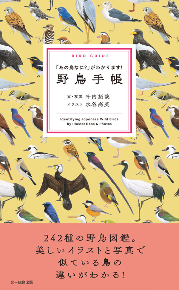持ち歩きにも便利な野鳥図鑑『野鳥手帳』の重版が決定…文一総合出版 | 動物のリアルを伝えるWebメディア「REANIMAL」