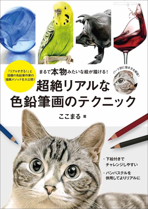 世界有名な 超絶リアルな色鉛筆画のテクニック』、誠文堂新光社より刊行…11 絵画