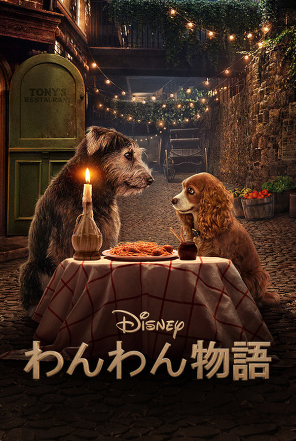 ディズニー わんわん物語 実写版が Disney に登場 日本初 独占配信 動物のリアルを伝えるwebメディア Reanimal