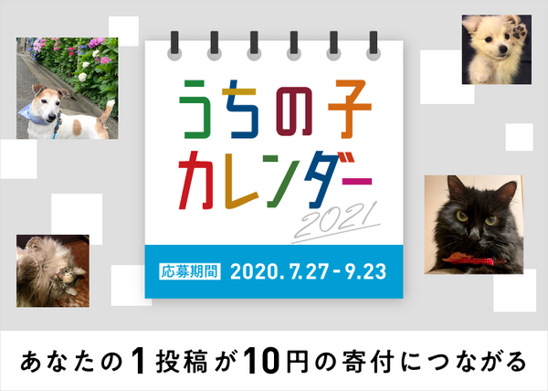 アイペット損保 うちの子カレンダー21 投稿キャンペーンを開始 9月23日まで 動物のリアルを伝えるwebメディア Reanimal