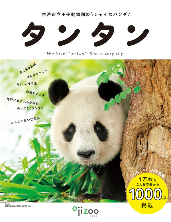 フェリシモ 写真集 神戸市立王子動物園のシャイなパンダ タンタン の予約受付開始 動物のリアルを伝えるwebメディア Reanimal