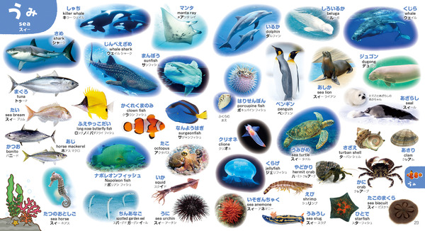 こどもずかん777 英語つき しゃしんバージョン Amazon.co.jp: こどもずかん777 英語つき しゃしんバージョン