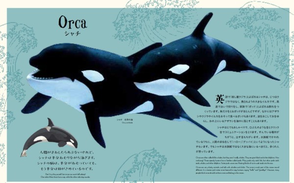 うつくしすぎる世界の動物 うつくしすぎる自然博物 日本語版2冊を同時刊行 主婦の友社 8枚目の写真 画像 動物 のリアルを伝えるwebメディア Reanimal