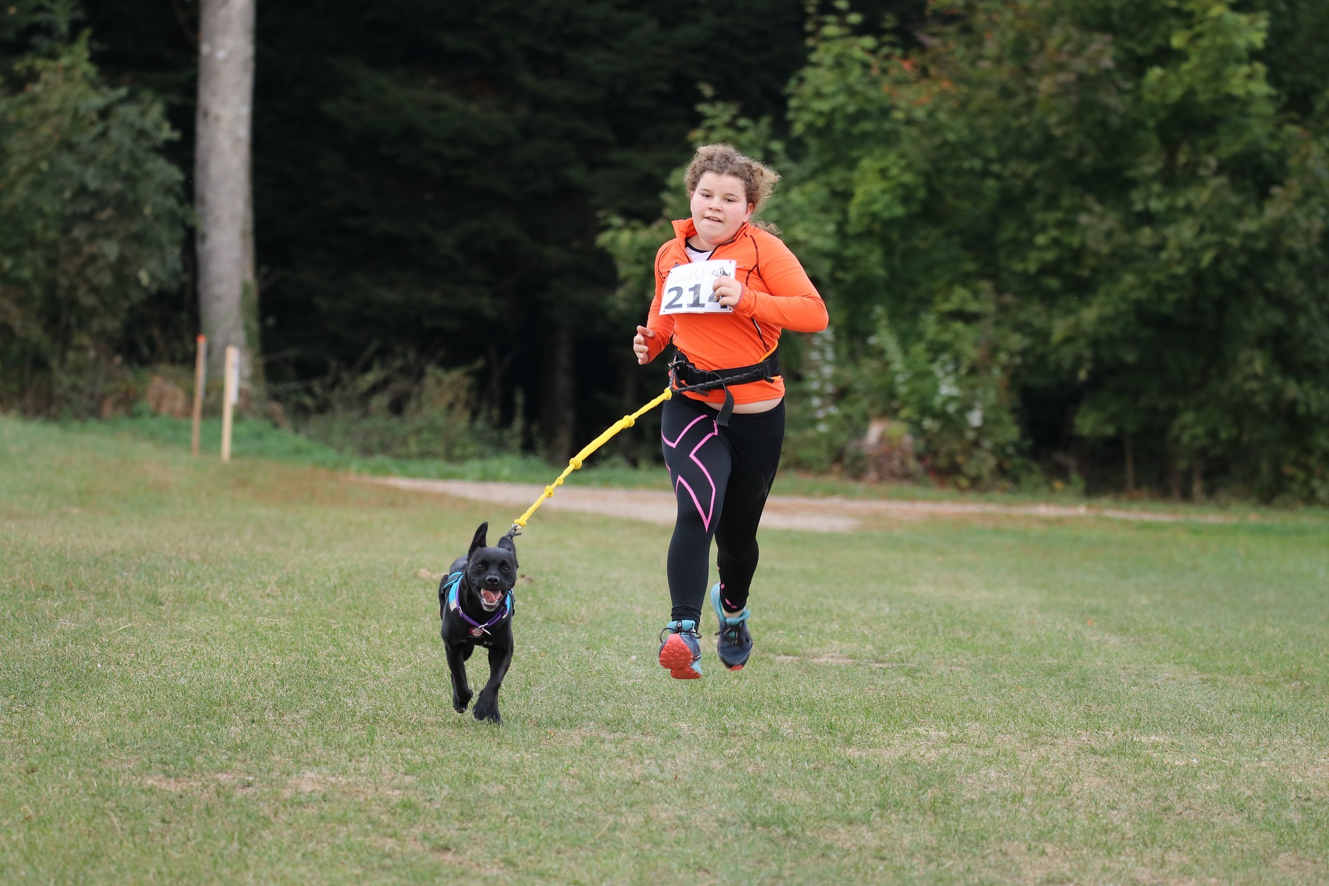 愛犬と一緒に走るオンラインペアマラソン ドッグわん 開催 1月11日エントリー開始 動物のリアルを伝えるwebメディア Reanimal