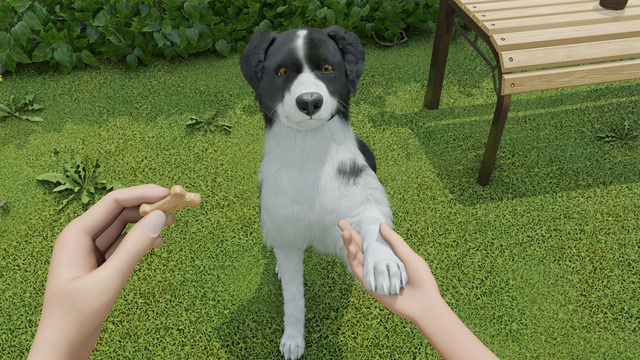 ワンちゃんを子犬から育てるゲーム Dog Trainer 発表 犬を飼うことの喜びと責任を体験 動物のリアルを伝えるwebメディア Reanimal