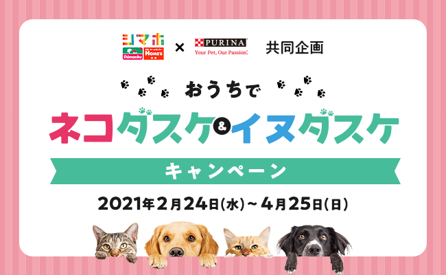 島忠 Snsにて保護犬猫活動応援キャンペーンを実施 4月25日まで 動物のリアルを伝えるwebメディア Reanimal