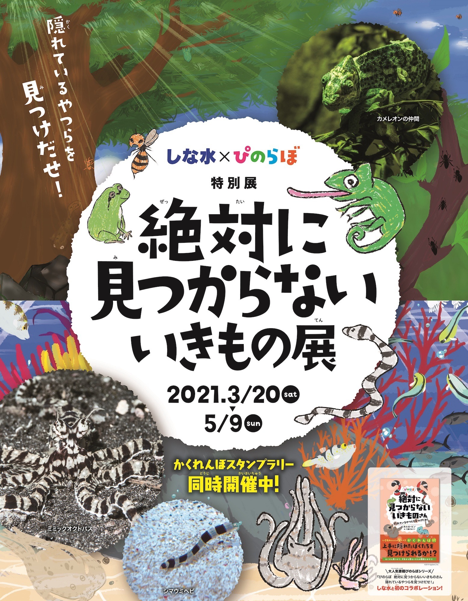 しながわ水族館 生き物の擬態をテーマにした特別展 絶対に見つからないいきもの展 を開催 3月日 5月9日 動物 のリアルを伝えるwebメディア Reanimal