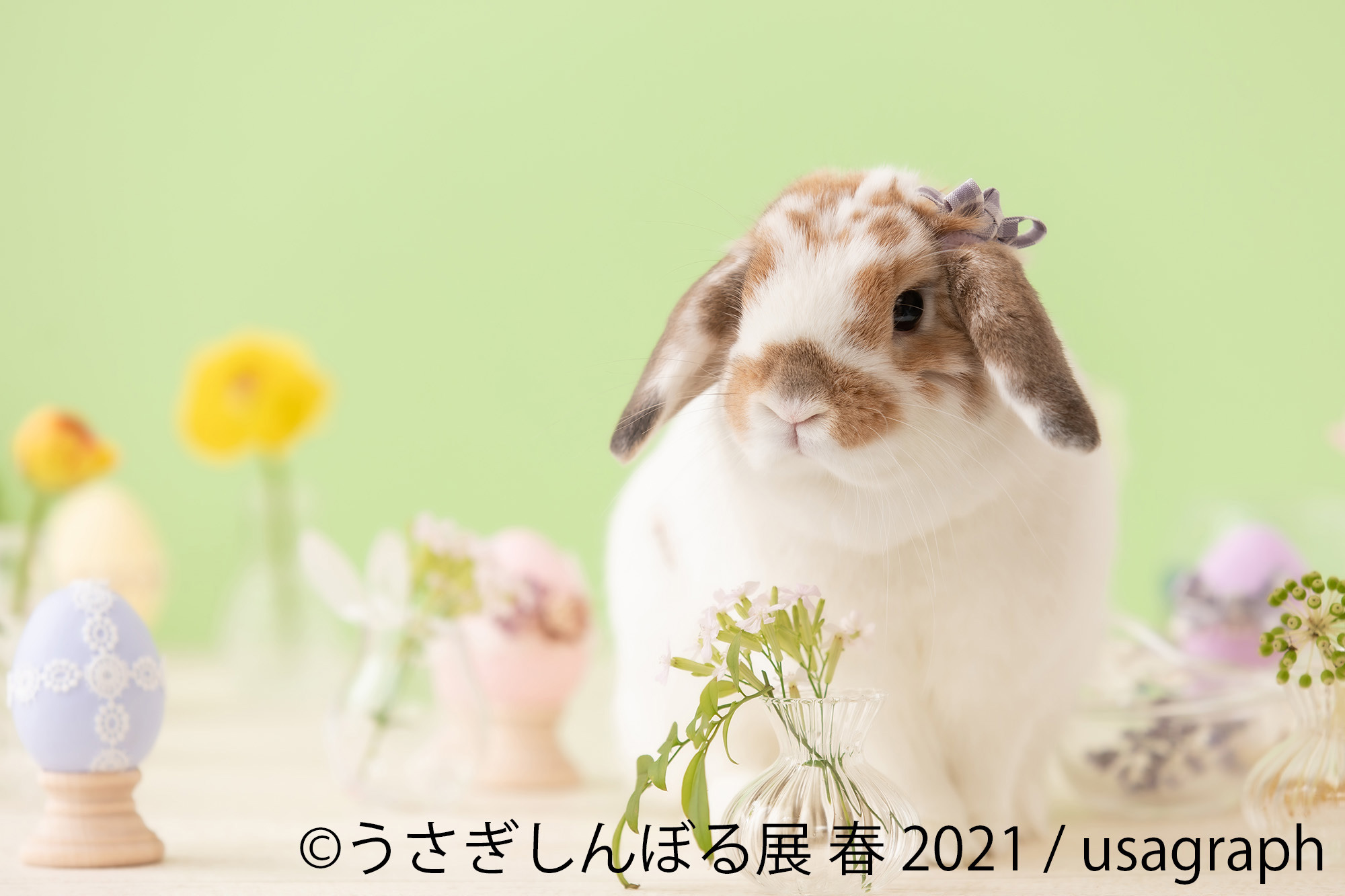 うさぎしんぼる展 春 21 名古屋にて開催 4月24日 5月16日 動物のリアルを伝えるwebメディア Reanimal うさぎしんぼる展 春 21 名古屋にて開催 4月24日 5月16日 動物のリアルを伝えるwebメディア Reanimal