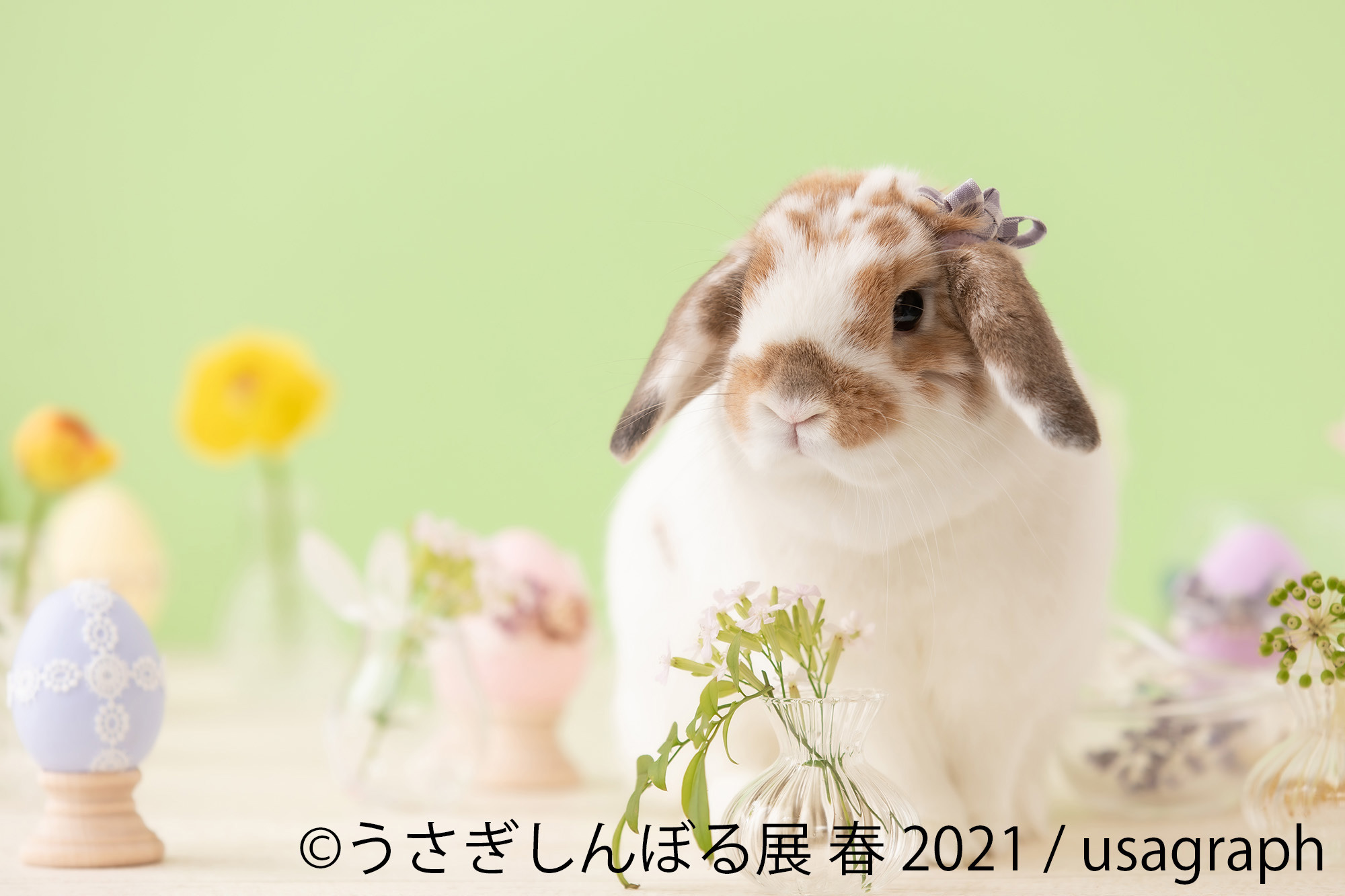 うさぎしんぼる展 春 21 名古屋にて開催 4月24日 5月16日 動物のリアルを伝えるwebメディア Reanimal