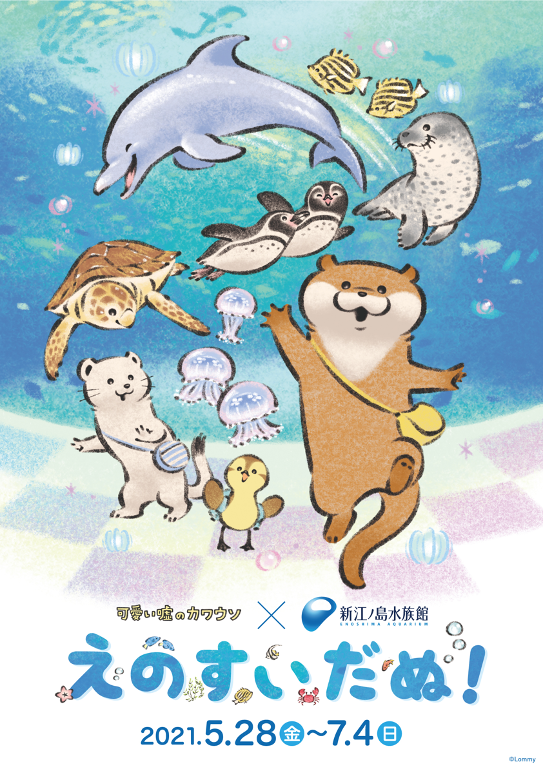 可愛い嘘のカワウソ 新江ノ島水族館のコラボ特別企画 えのすいだぬ 開催 5月28日 7月4日 動物のリアルを伝えるwebメディア Reanimal