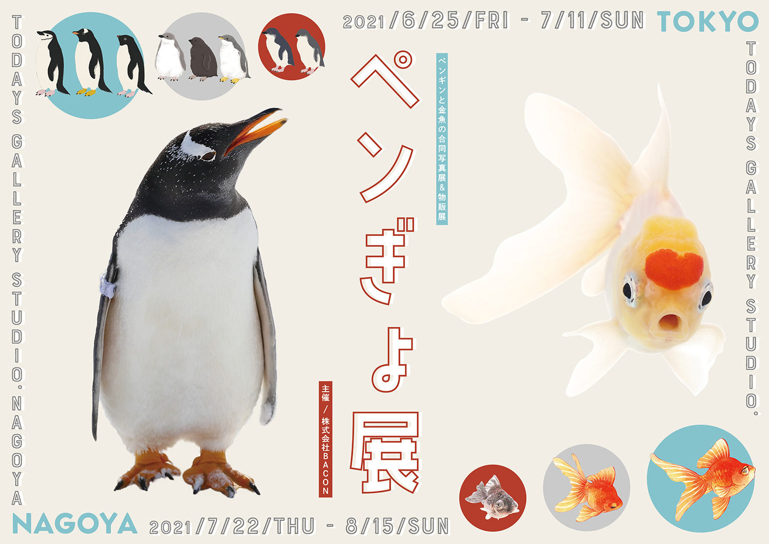 ペンギンと金魚の合同写真展 イラスト物販展 ペンぎょ展 21 東京と名古屋で開催 動物のリアルを伝えるwebメディア Reanimal