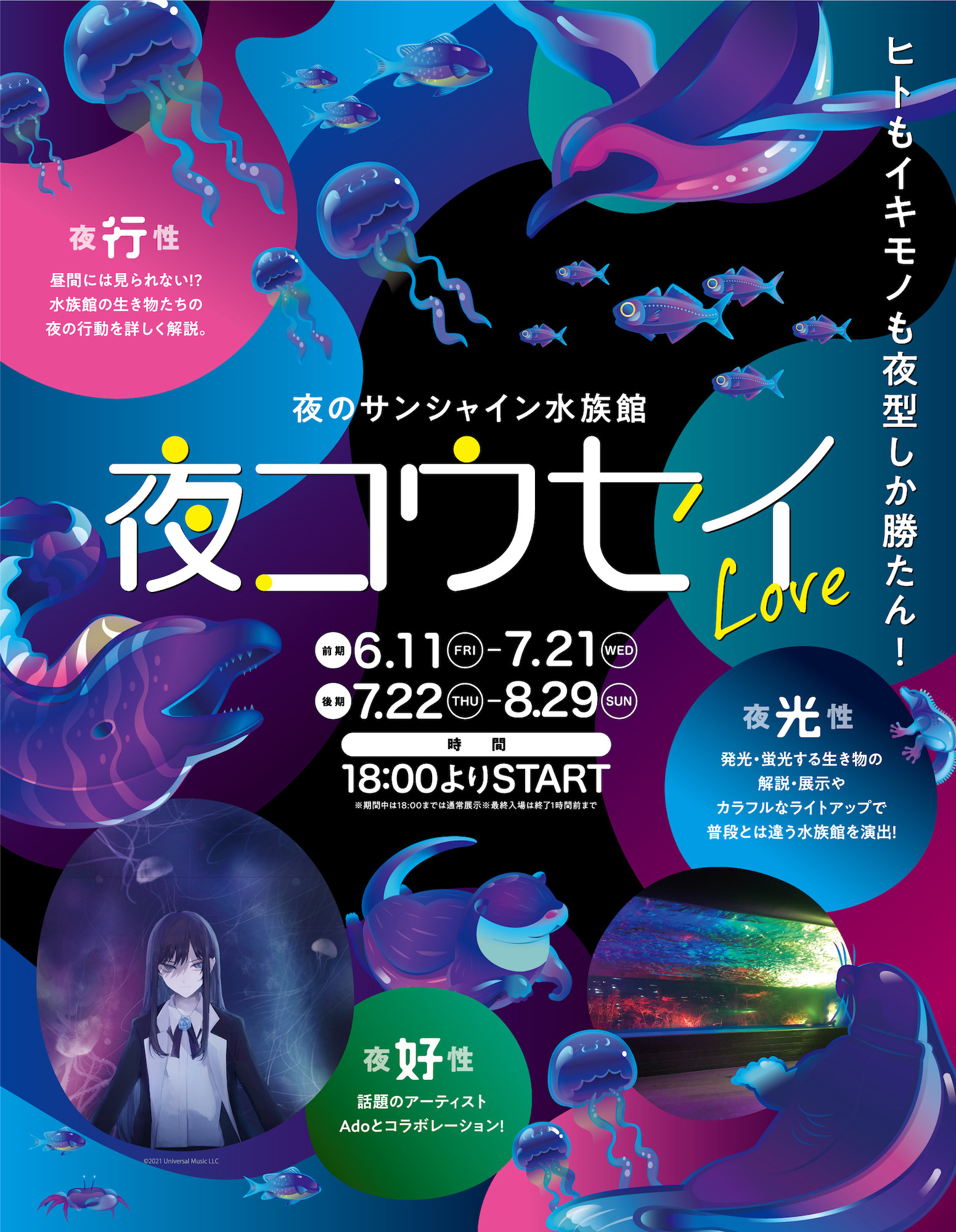 夜のサンシャイン水族館 夜コウセイlove 開催 6月11日 8月29日 動物のリアルを伝えるwebメディア Reanimal