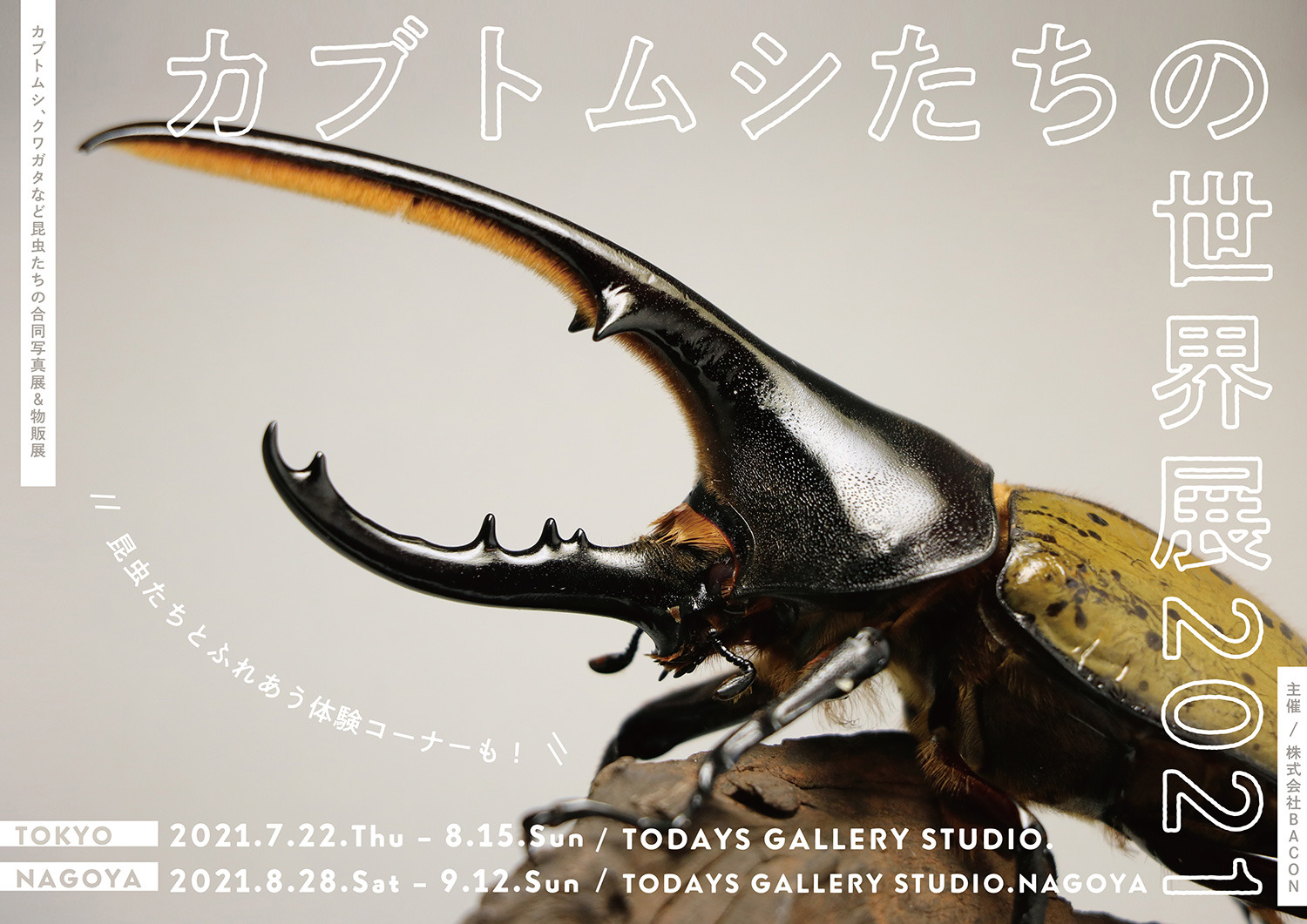 昆虫たちの合同写真展 物販展 カブトムシたちの世界展 21 開催 7月22日 8月15日 動物のリアルを伝えるwebメディア Reanimal