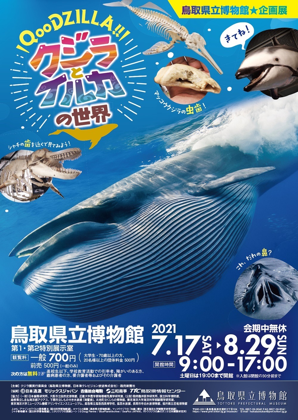企画展 「QooDZILLA！！ クジラとイルカの世界」、鳥取県立