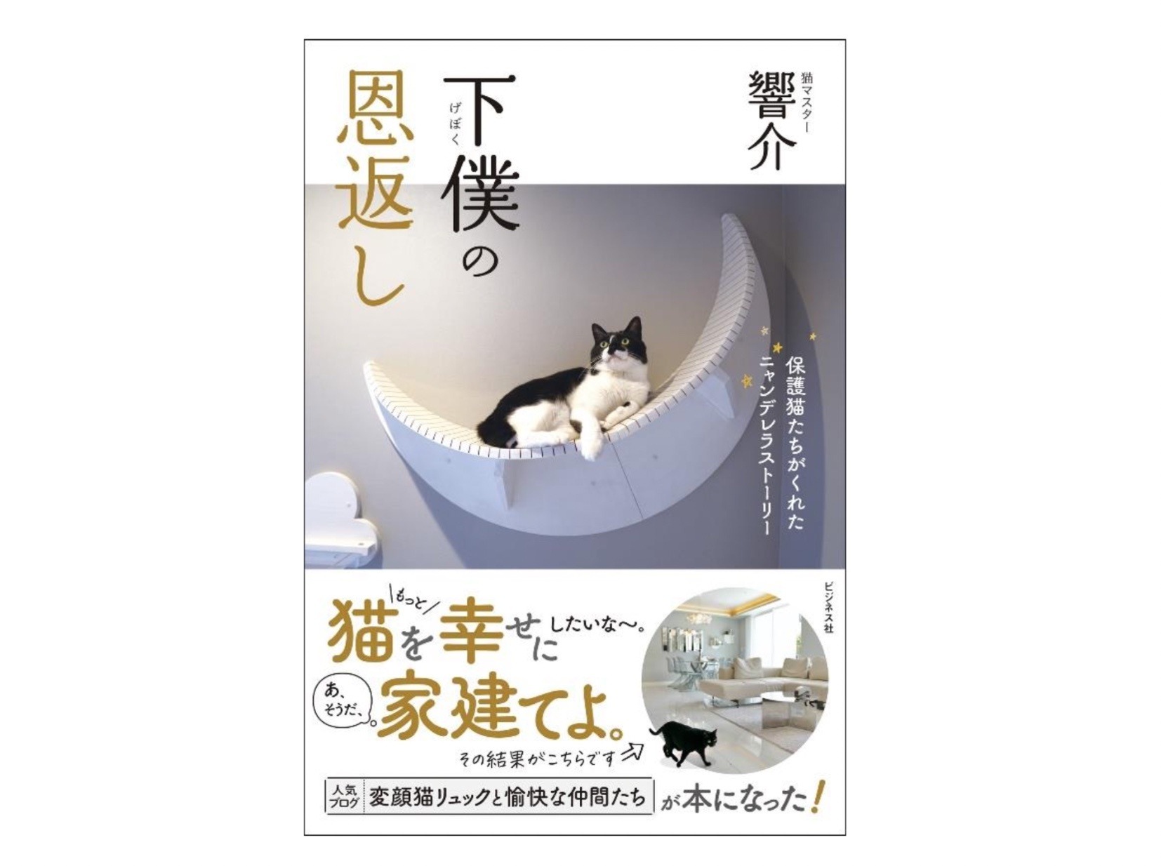 保護猫たちがくれたニャンデレラストーリー 下僕の恩返し ビジネス社より刊行 動物のリアルを伝えるwebメディア Reanimal 保護猫たちがくれたニャンデレラストーリー 下僕の恩返し ビジネス社より刊行 動物のリアルを伝えるwebメディア Reanimal