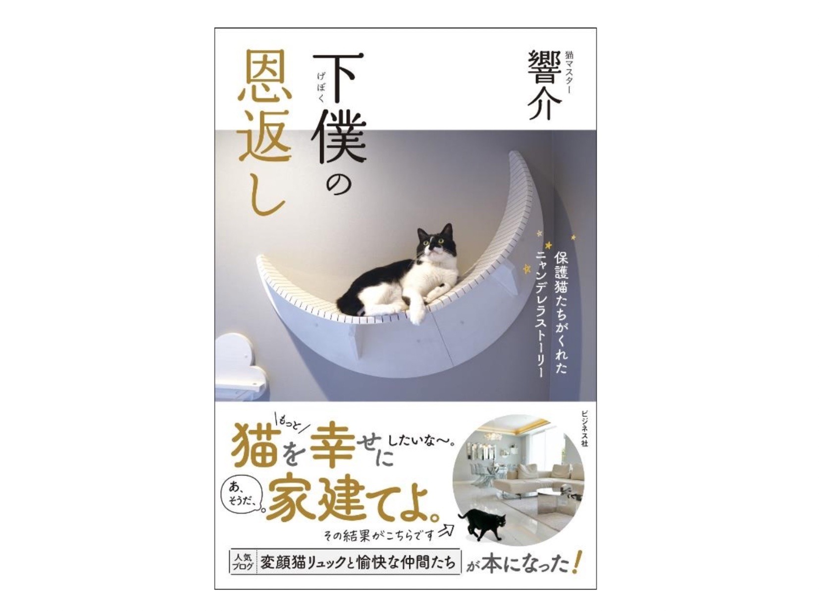 保護猫たちがくれたニャンデレラストーリー 下僕の恩返し ビジネス社より刊行 動物のリアルを伝えるwebメディア Reanimal