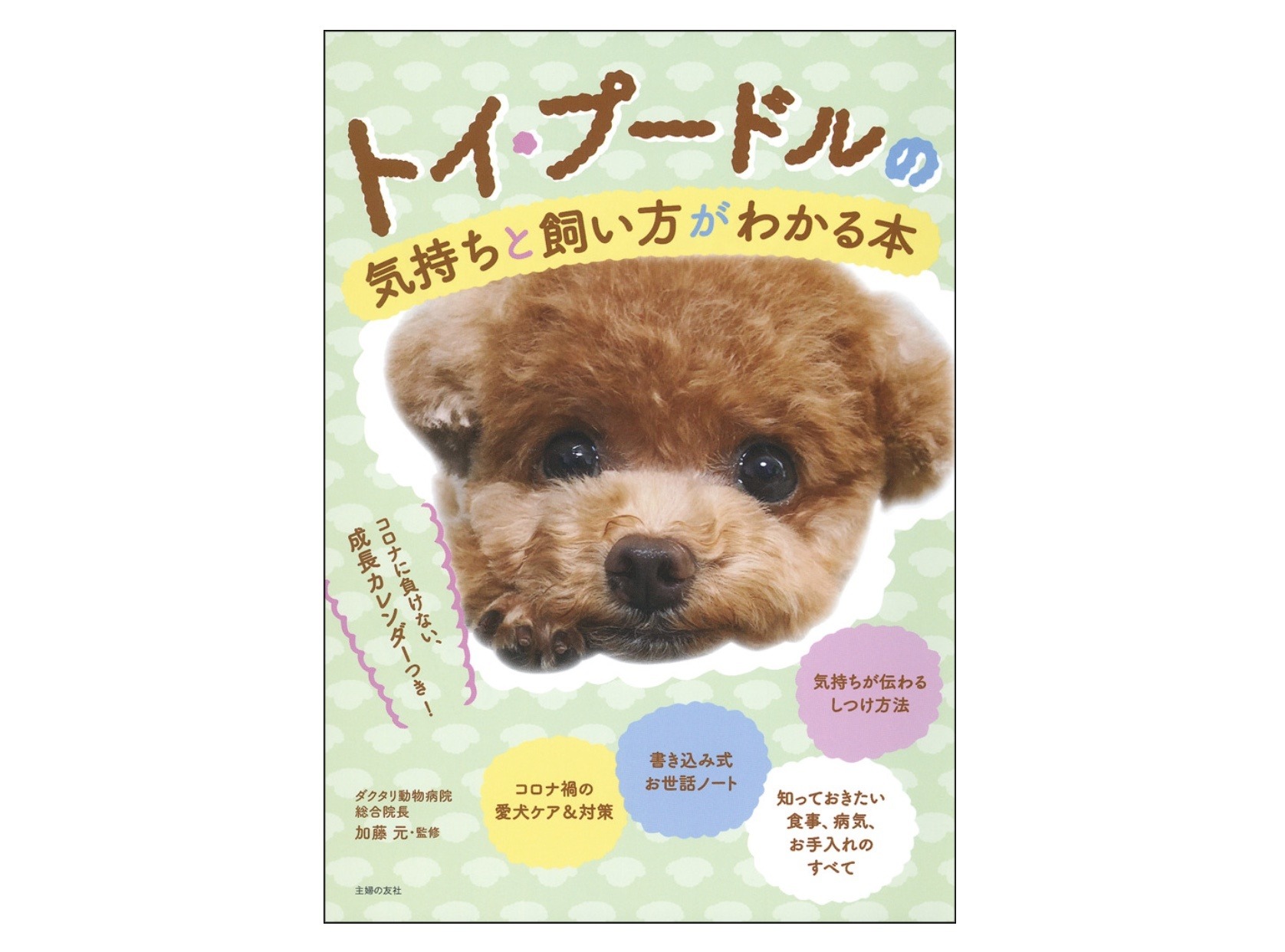 しつけからコロナ対策まで トイ プードルの気持ちと飼い方がわかる本 刊行 主婦の友社 動物のリアルを伝えるwebメディア Reanimal