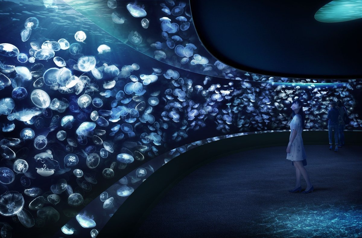 サンシャイン水族館でクラゲを満喫 リアル謎解きゲーム 虹色のクラゲと夜のさがしもの 開催 7月9日 9月7日 動物のリアルを伝えるwebメディア Reanimal サンシャイン水族館でクラゲを満喫 リアル謎解きゲーム 虹色のクラゲと夜のさがしもの 開催 7月9日 9月7日 動物のリアルを伝えるwebメディア Reanimal