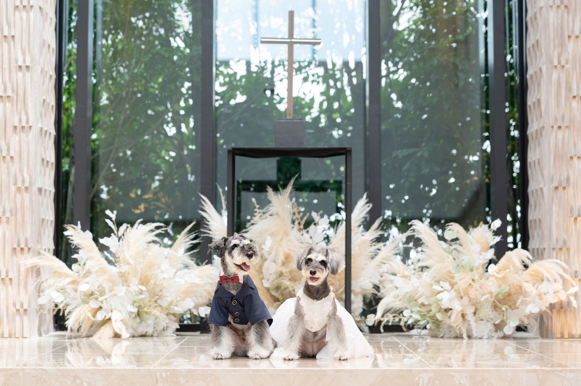 ウェディングドレス生地を再利用した犬用衣裳ブランド Dressed One 登場 動物のリアルを伝えるwebメディア Reanimal ウェディングドレス生地を再利用した犬用衣裳ブランド Dressed One 登場 動物のリアルを伝えるwebメディア Reanimal