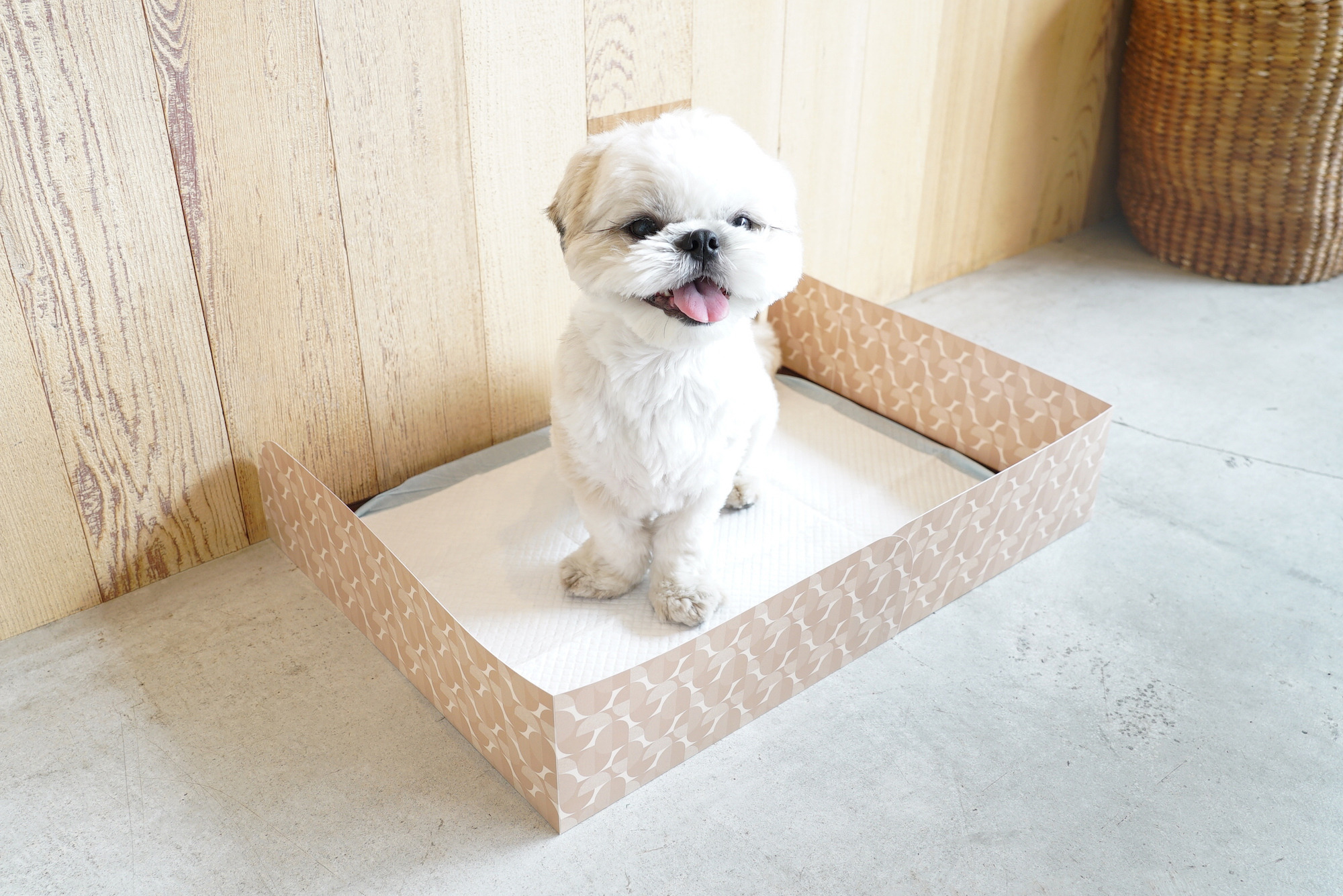 ペットシーツに組み合わせてはみ出し防止 ワンコトイレマットパーテーション 発売 動物のリアルを伝えるwebメディア Reanimal