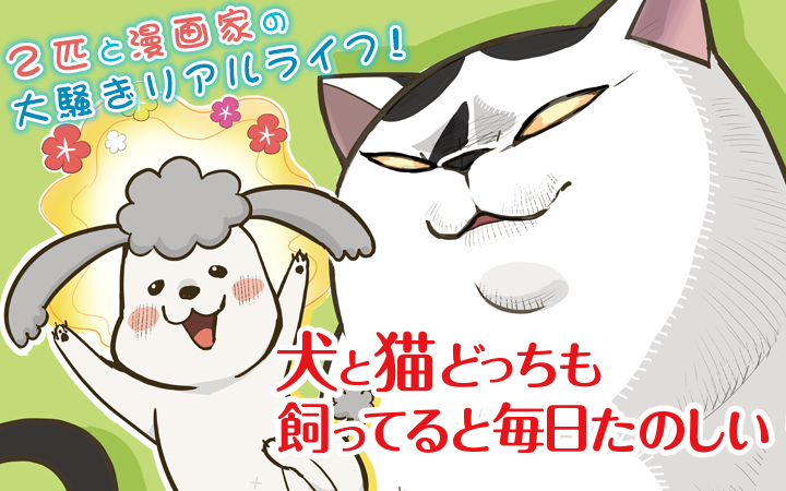 02▢ 犬と猫どっちも飼ってると毎日たのしい 1-7巻 NA0517-6 DVD付き 犬と猫どっちも飼ってると毎日たのしい(6)限定版