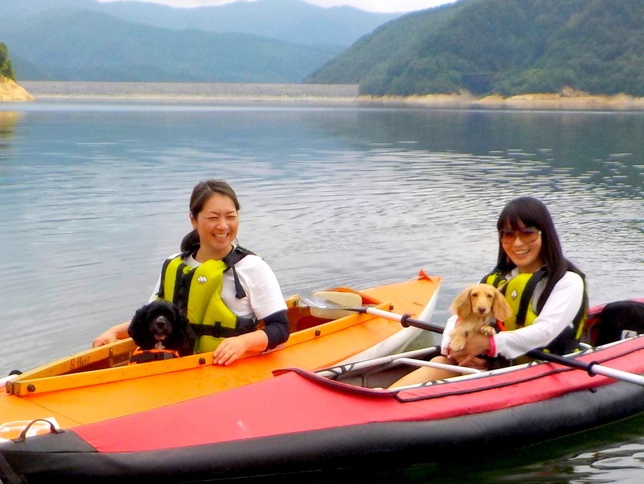 愛犬と楽しむカヤックツアー ワンちゃんカヤック 参加者募集中 福島県 摺上川ダム湖 動物のリアルを伝えるwebメディア Reanimal