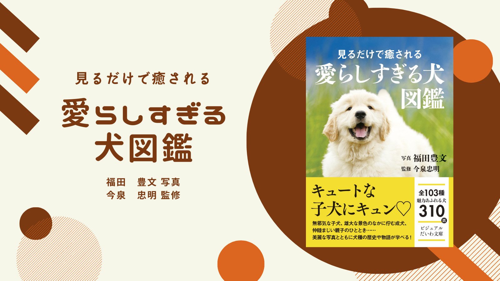 103種310匹の犬を写真で紹介 見るだけで癒される 愛らしすぎる犬図鑑 刊行 大和書房 動物のリアルを伝えるwebメディア Reanimal 103種310匹の犬を写真で紹介 見るだけで癒される 愛らしすぎる犬図鑑 刊行 大和書房 動物のリアルを伝えるwebメディア Reanimal