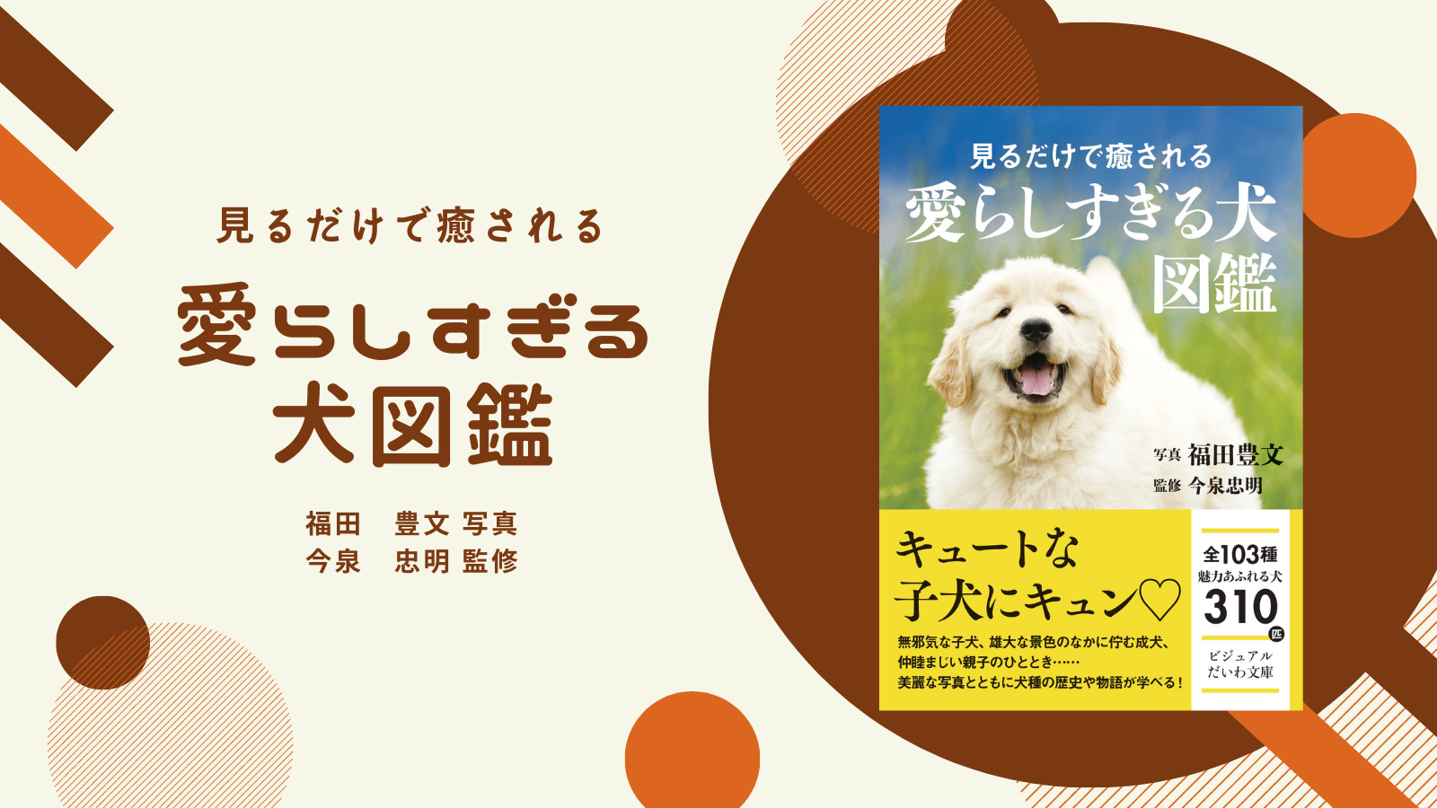 103種310匹の犬を写真で紹介 見るだけで癒される 愛らしすぎる犬図鑑 刊行 大和書房 動物のリアルを伝えるwebメディア Reanimal