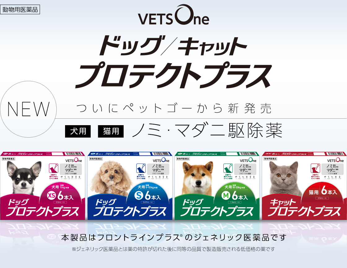 ペットゴー 犬猫用のノミ マダニ駆除薬 ベッツワンプロテクトプラス を発売 動物のリアルを伝えるwebメディア Reanimal