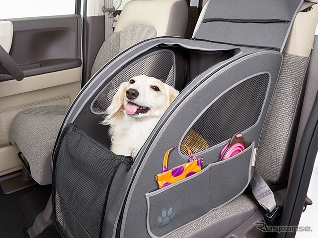 ホンダ 愛犬用アクセサリー装着車両のカーシェアサービス開始 動物のリアルを伝えるwebメディア Reanimal ホンダ 愛犬用アクセサリー装着車両のカーシェアサービス開始 動物のリアルを伝えるwebメディア Reanimal